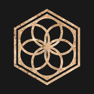 Gold Geometric Glyph Mandala Sigil Rune Sign Seal  -  432 T-Shirt
