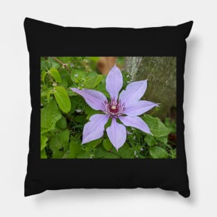 Lavender Flower 3 Pillow