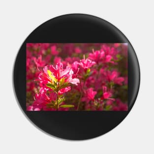 Pink Azalea Flowers Pin