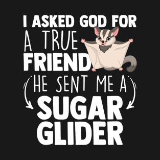 I Asked God For A True Friend He Sent Me A Sugar Glider T-Shirt