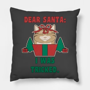 Christmas Funny Cat in Present Dear Santa I Was Framed Pillow