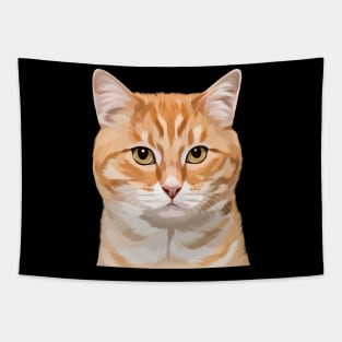 Ginger Cat Tapestry