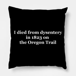 I Died from Dysentery in 1823 on the Oregon Trail Pillow