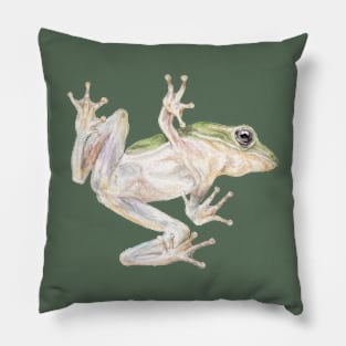 Frog Ascending Pillow