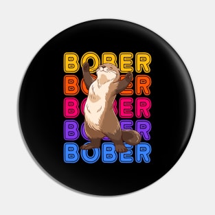 Funny Polish Internet Meme Bobr Bober Kurwa Colorful Text Art Pin