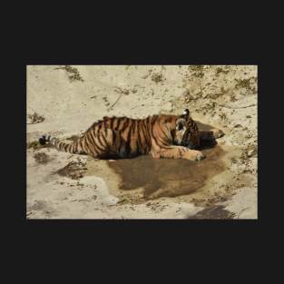 Tiger Cub T-Shirt