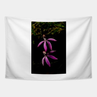 Black Tongue Caladenia Tapestry