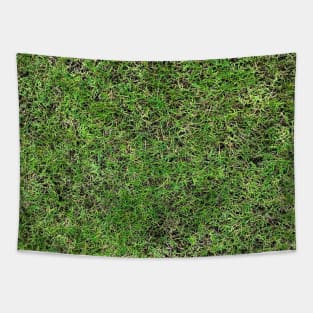 Grass field texture Tapestry