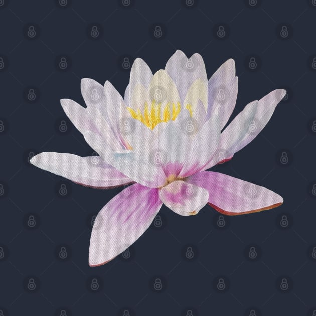 Transcend - water lily painting (no background) by EmilyBickell