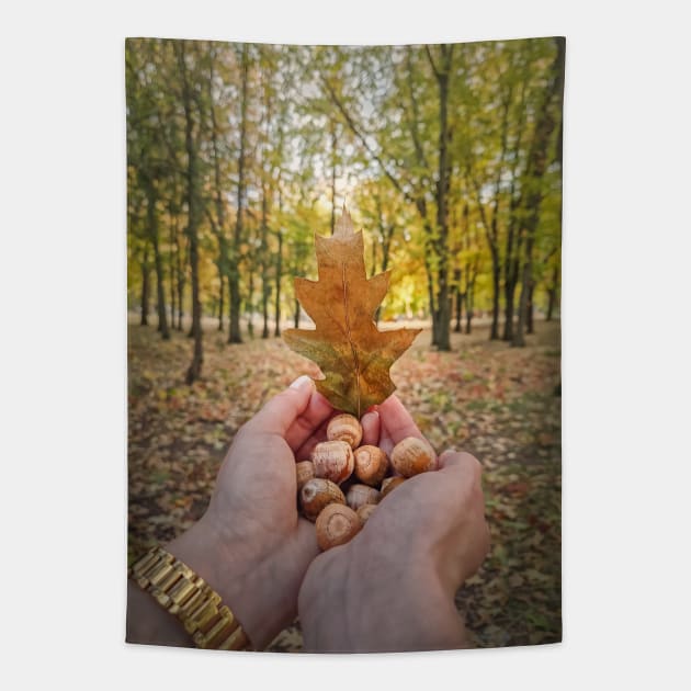 autumn walk in the oak forest Tapestry by psychoshadow