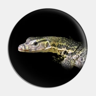 Monitor lizard Pin