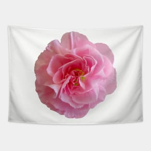 Hot Pink Carnation Flower Tapestry