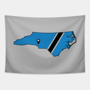 Carolina Football Tapestry