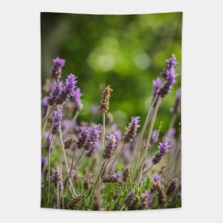 Lavender Flowers Tapestry