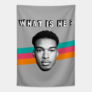 What is He? Tapestry