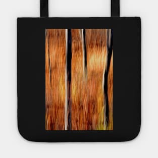 Autumn Abstract #2 Tote