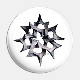 Star on Black / Swiss Artwork Photography Pin