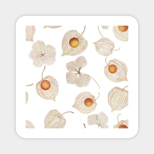 Autumn Physalis, Cape gooseberry dry flowers watercolor pattern.  Golden berry structure. Delicate floral print Magnet