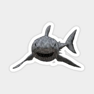 Great White Shark Magnet
