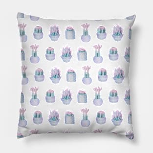 Succulent  Haze Pillow