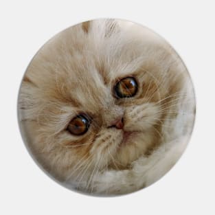 You had me at 'meow' Pin