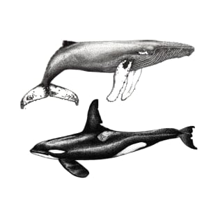 Orca and humpback whale T-Shirt