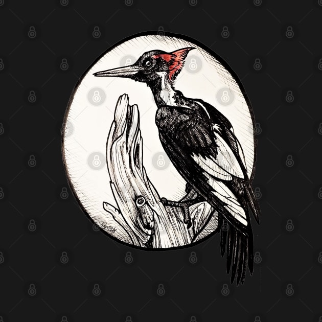 Woodpecker by GnarlyBones