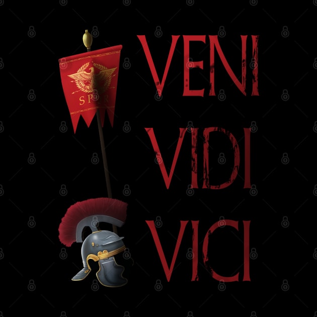 Veni Vidi Vici by Styr Designs