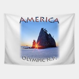 America - Washington - Olympic National Park Tapestry