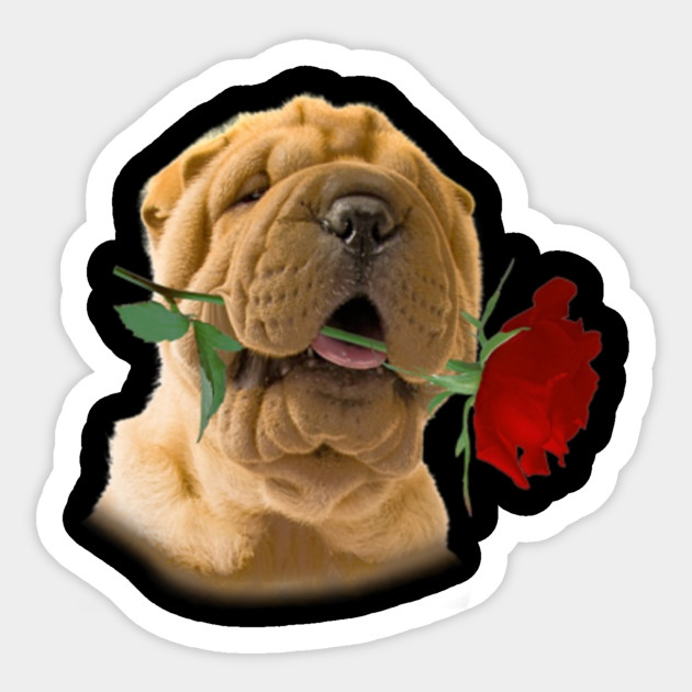 Rose Shar Pei Face Smile Shar Pei Dog Valentine S Day Gift Rose Shar Pei Face Sticker Teepublic