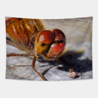 Red Dragonfly Macro Photograph Tapestry