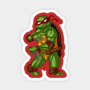 Raphael Magnet