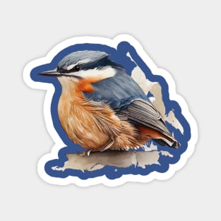 Nuthatch Bird On A Tree Branch 5.0 Magnet