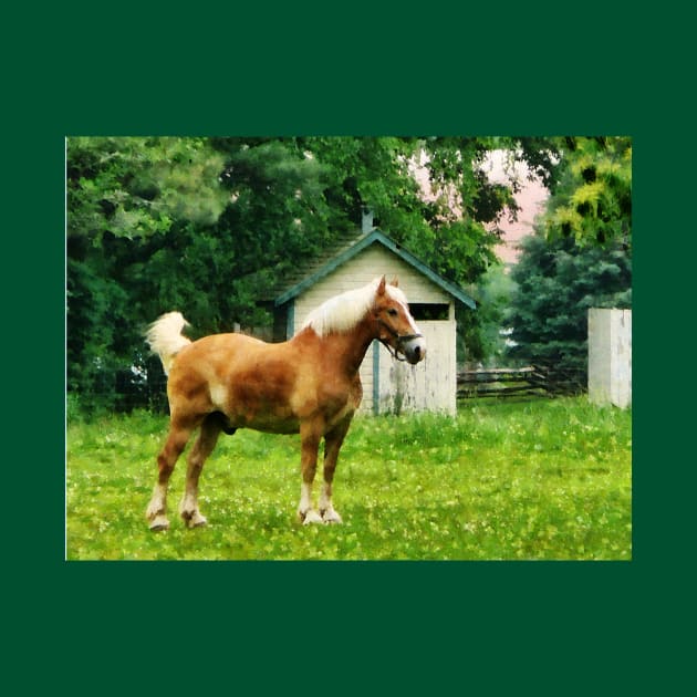 Horses - Palomino in Pasture by SusanSavad