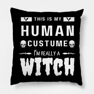 This is my human custume I'm really a witch Pillow