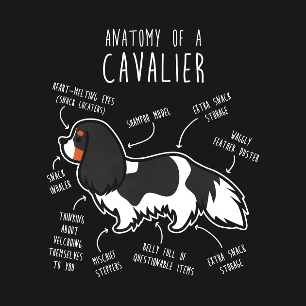 Tri-Color Cavalier King Charles Spaniel Dog Anatomy by Psitta