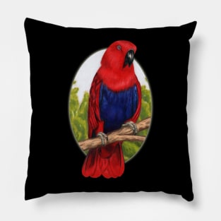 Eclectus Parrot by Sherrie Spencer Pillow