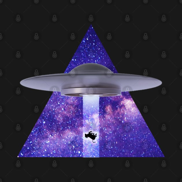 UFO Abduction by Weird Science Pod