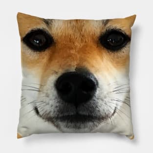 Lilly the Shiba Inu Cute Face Close Up Pillow