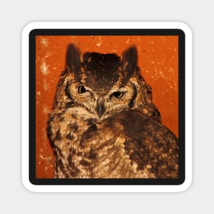 Giant Eagle Owl, Arusha, Tanzania, East Africa Magnet