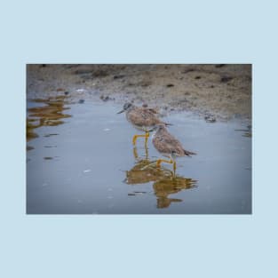 Yellowlegs Tiptoe Through The Water T-Shirt