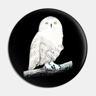 Snowy owl Pin