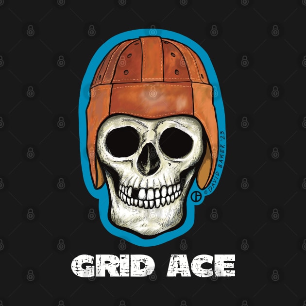 Grid Ace Skull by Art from the Blue Room