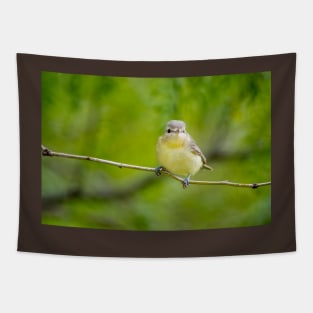 Posing Little Vireo by Debra Martz Tapestry