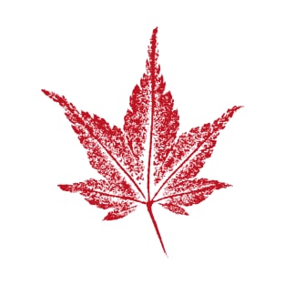 Japanese Maple Leaf (Acer palmatum) T-Shirt