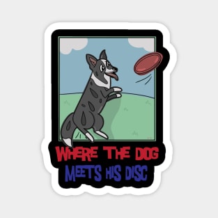 Where The Dog Meets His Disc Magnet