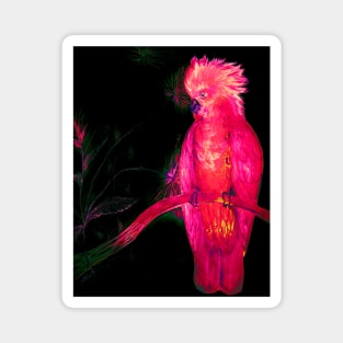 BRIGHT PINK TROPICAL COCKATOO PARROT ISLAND EXOTIC BIRD PALM POSTER PRINT Magnet