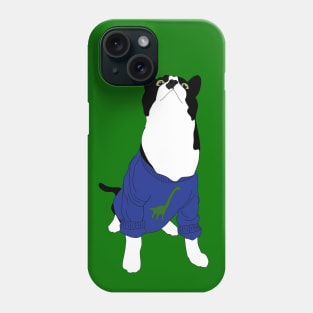 A Sweater for ME cat Phone Case