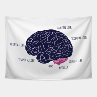 Human brain anatomic Tapestry