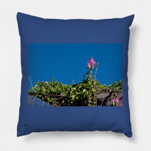 Wild Flower and Deep Blue Sky Pillow